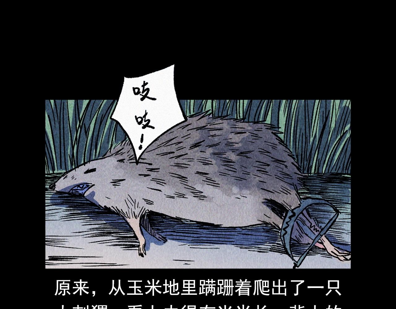 第334话 白仙医79