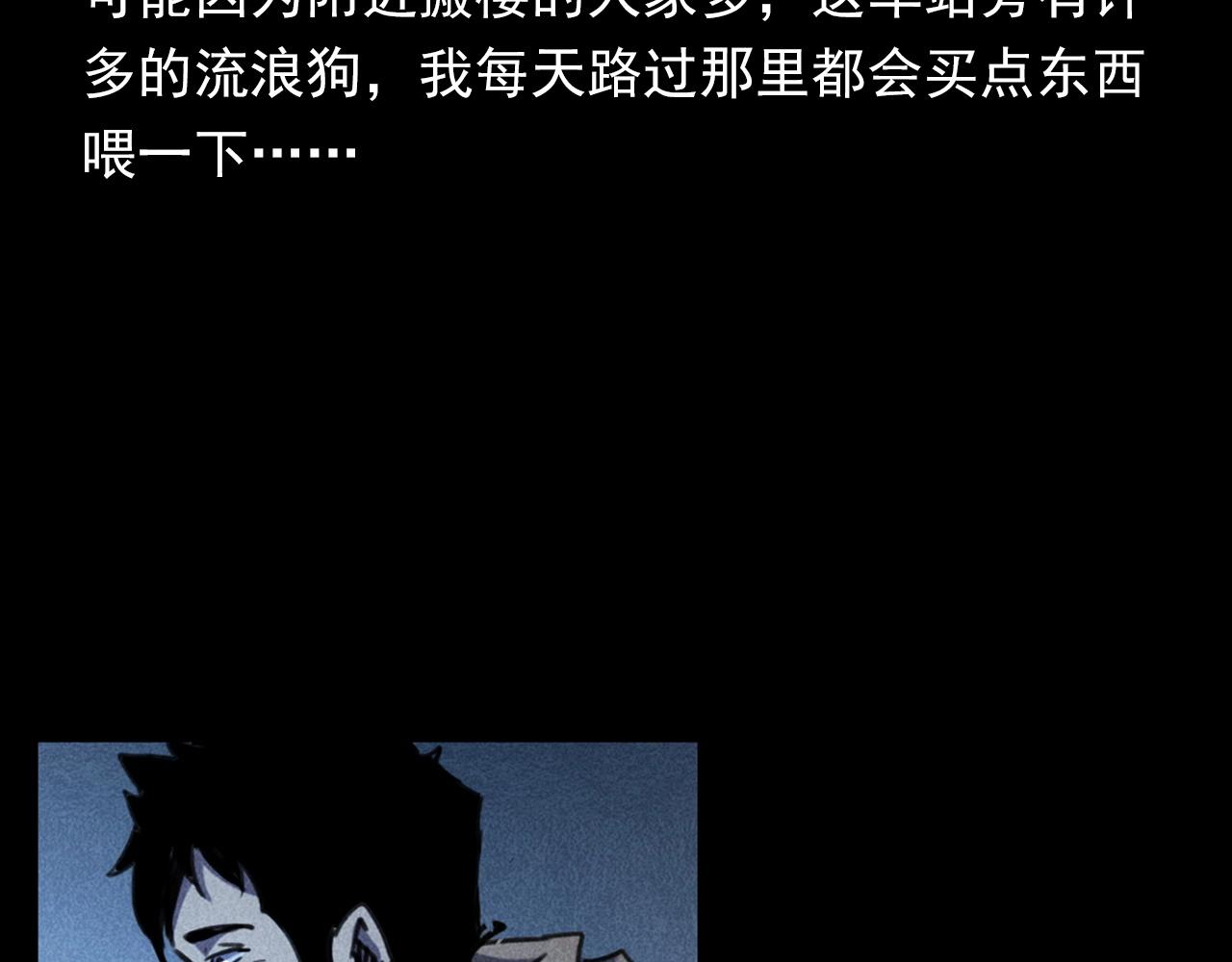 第352话 流浪狗9
