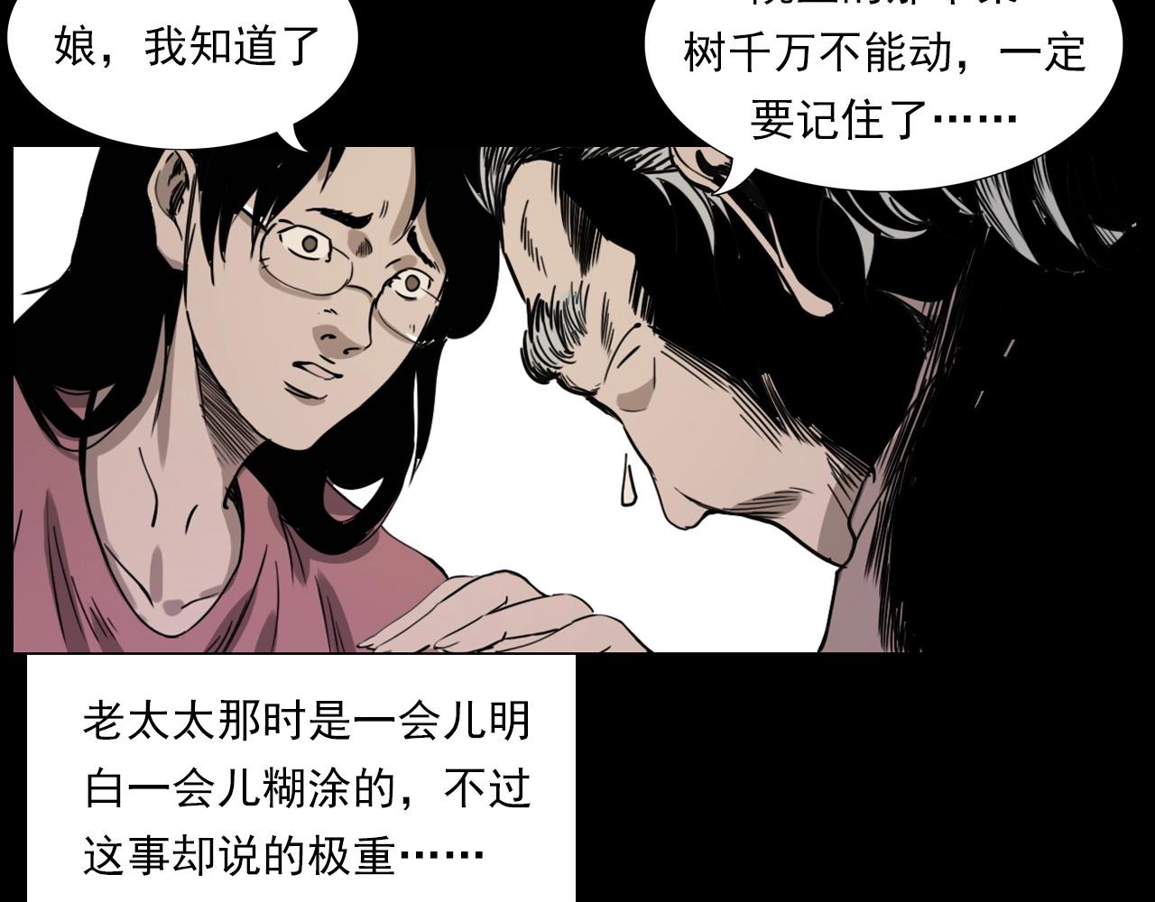 第226话 桑树27