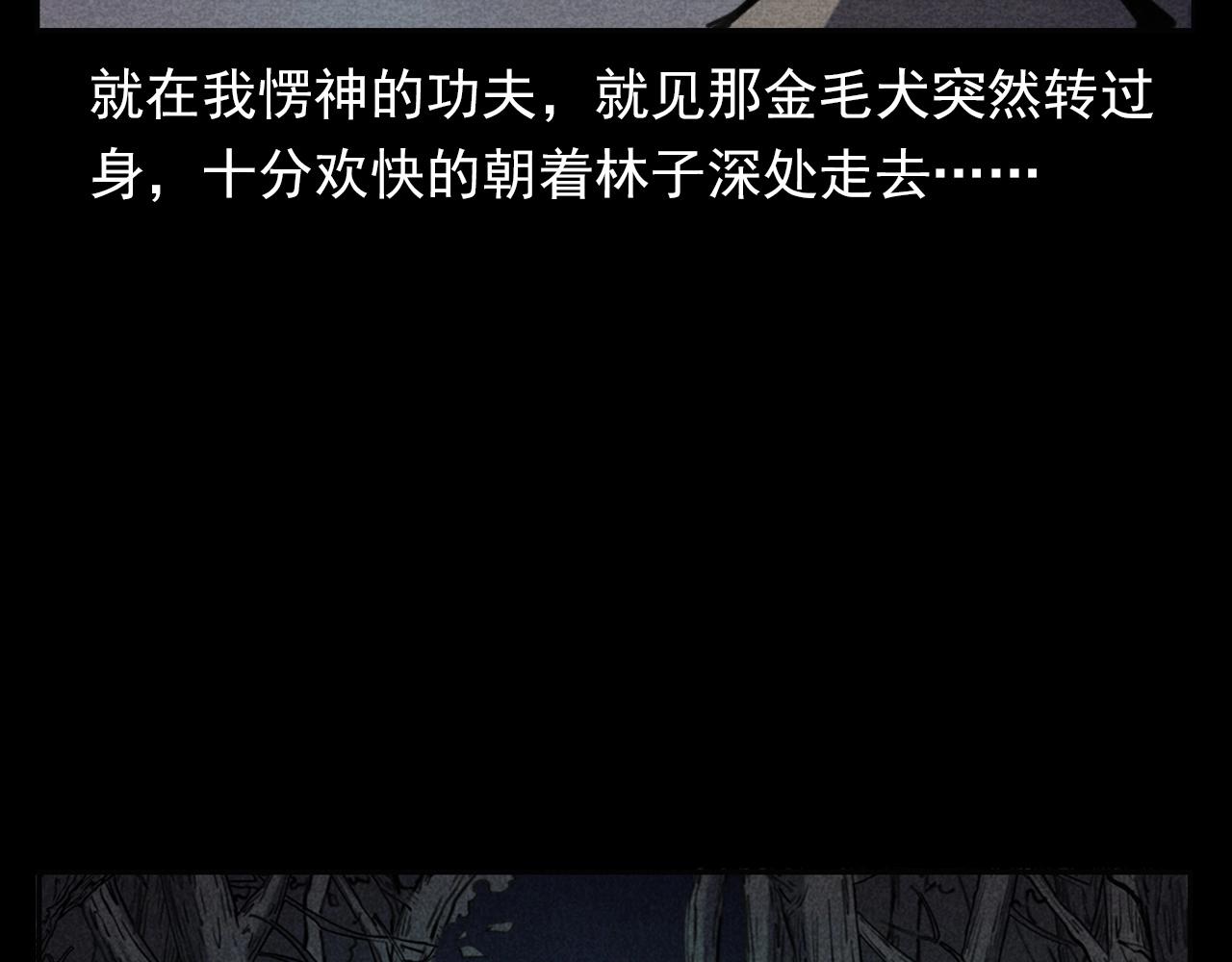 第352话 流浪狗73