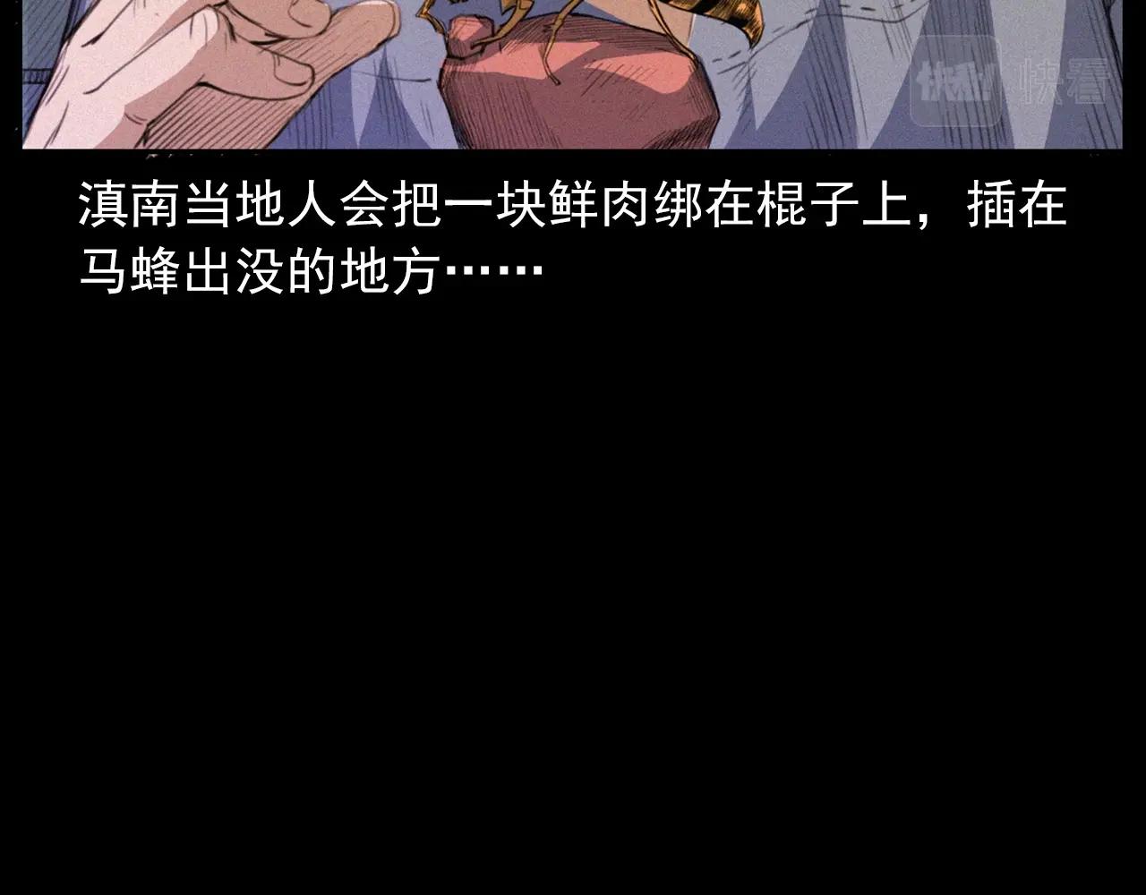 441话蜂窝11