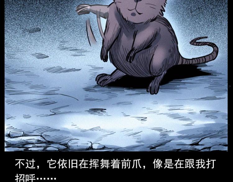第307话 鼠恩42