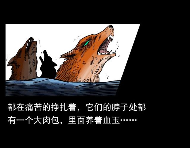 第111话 血玉86