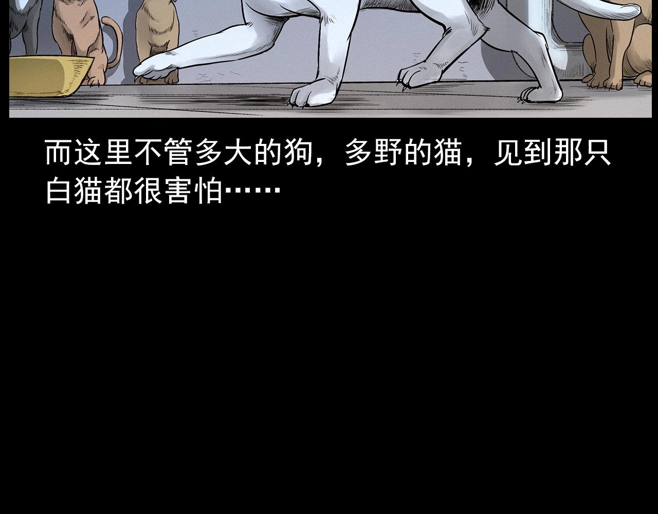第412话 双瞳猫26