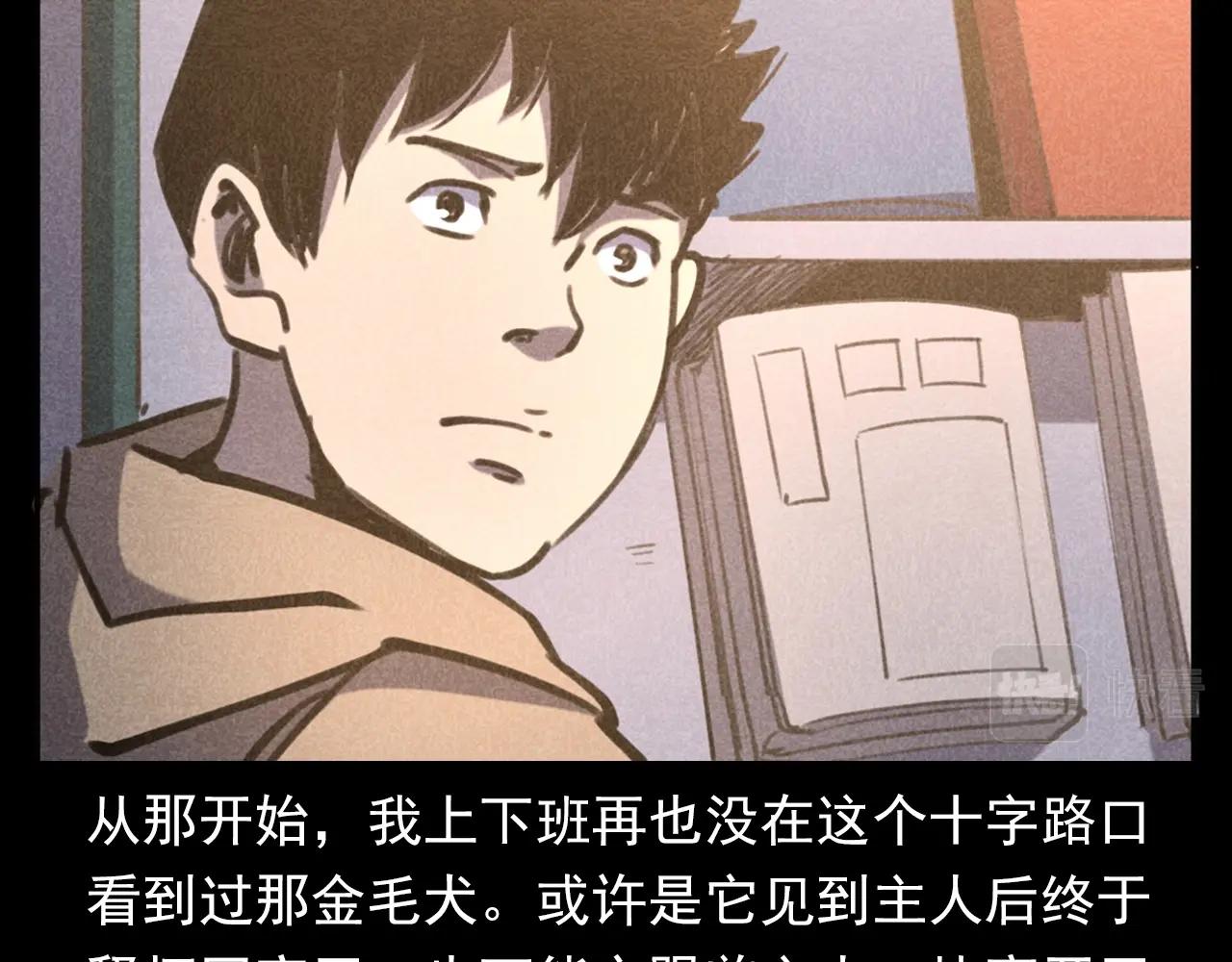 第352话 流浪狗91