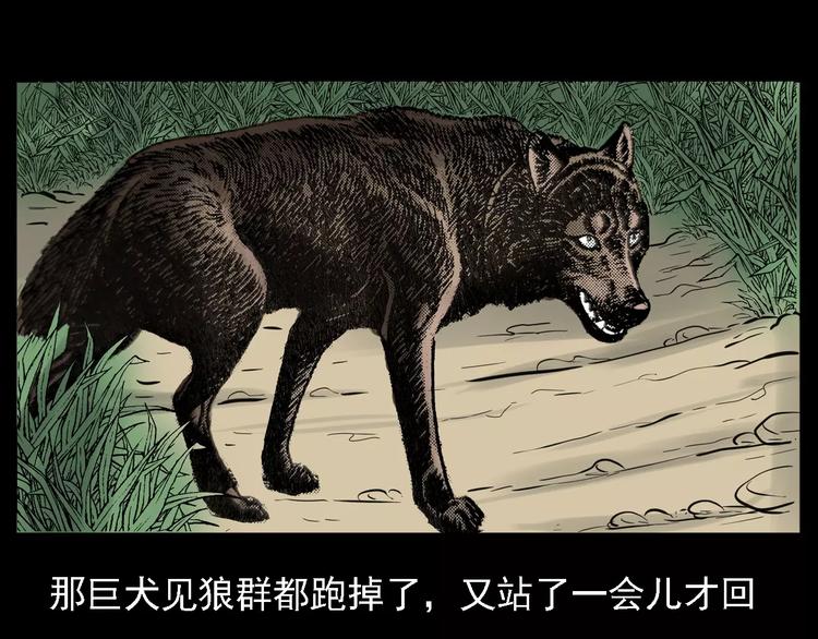 第13话 深山神犬55