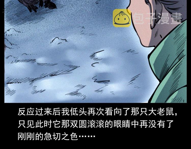 第307话 鼠恩40
