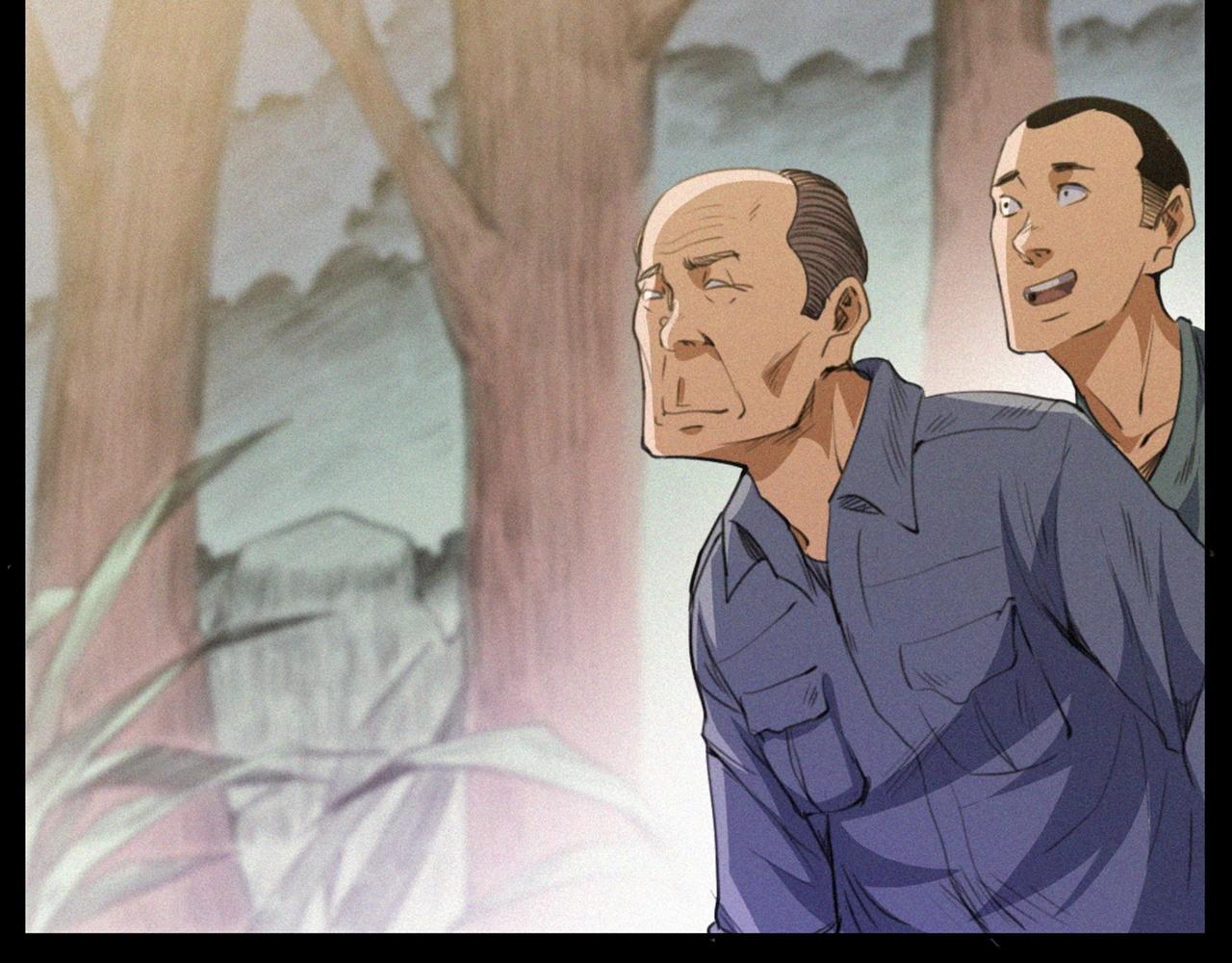 441话蜂窝28