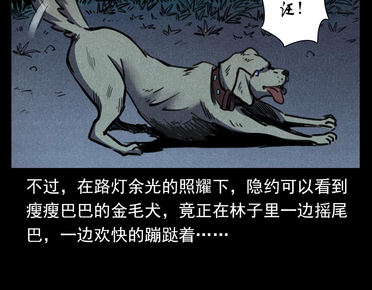 第352话 流浪狗59