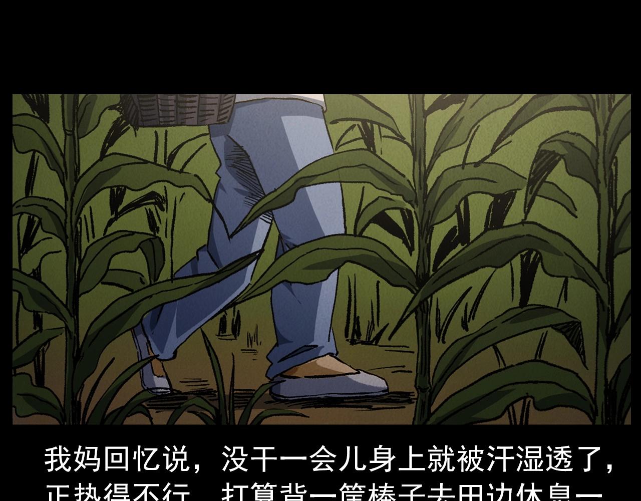 第415话 玉米地里的人18