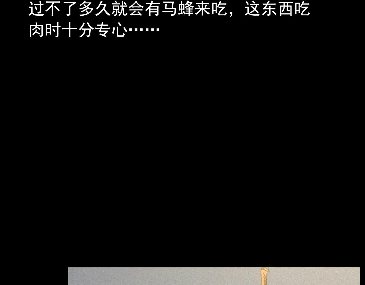 441话 蜂窝13