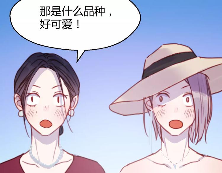 番外：最宠爱宠物的人11