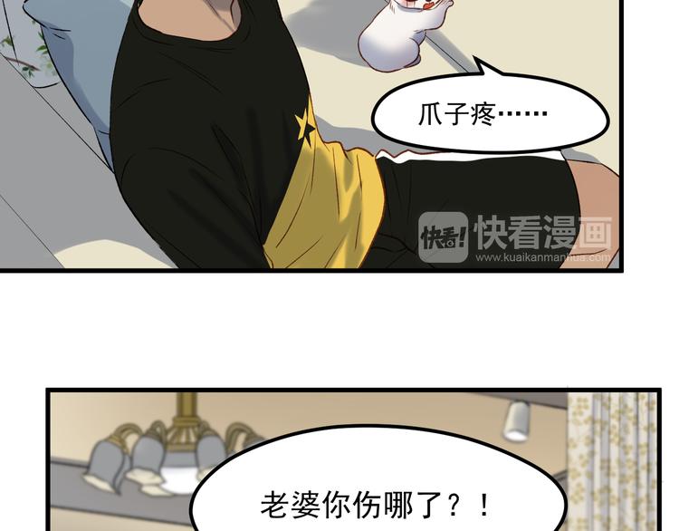 番外 月牙惊现本体！35