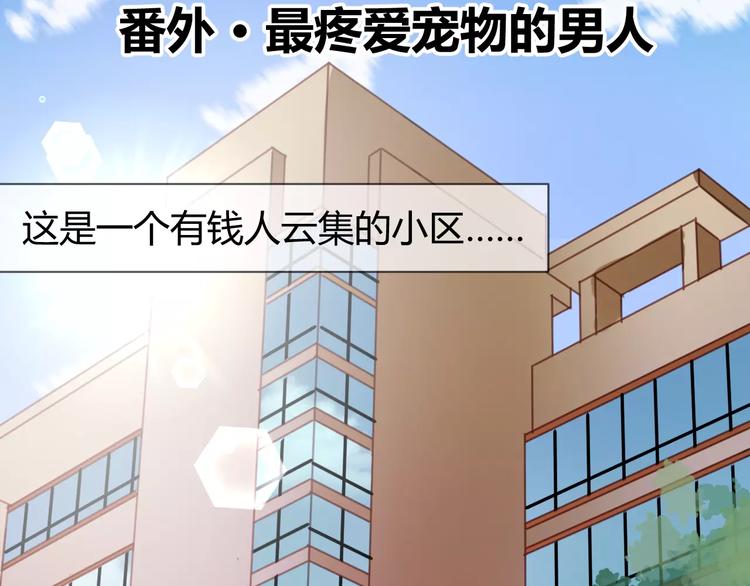 番外：最宠爱宠物的人1