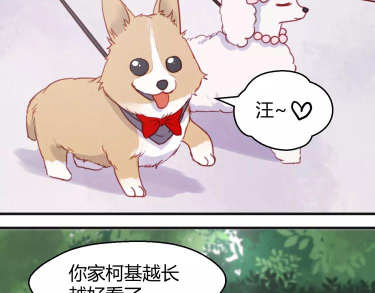 番外：最宠爱宠物的人3