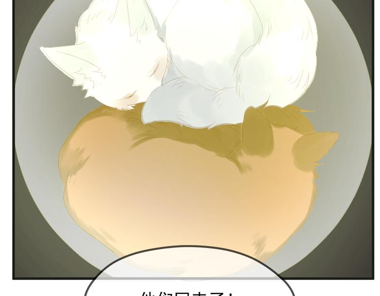完结篇 新生53