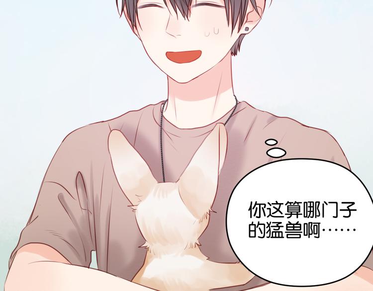 第48话 爷爷的法术害的！37