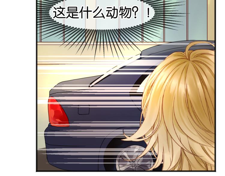 第1＋2话 捡到一只很萌的狐狸？55