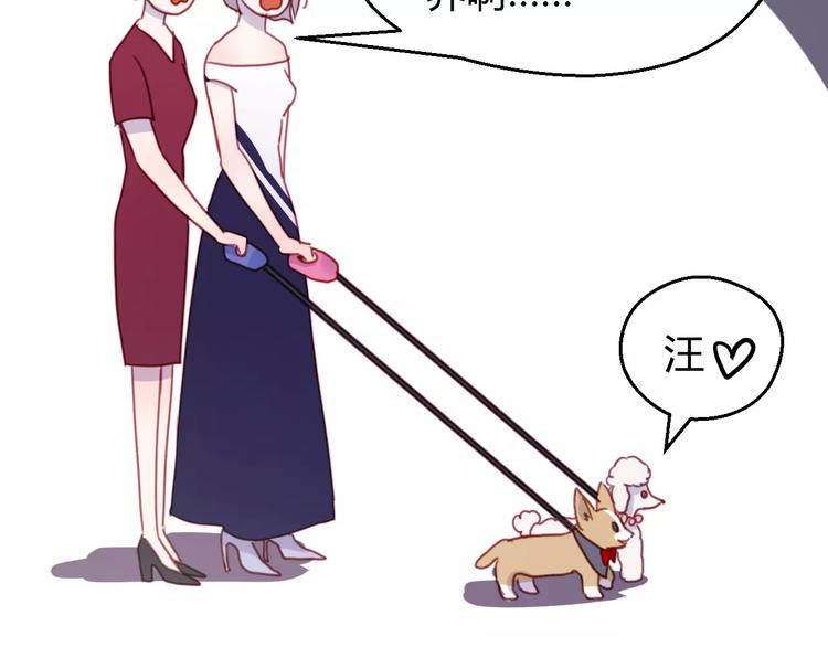 番外：最宠爱宠物的人13