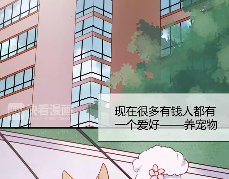 番外：最宠爱宠物的人2