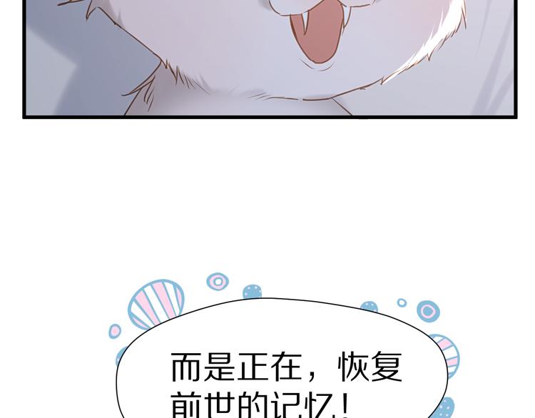 特别篇 第5话70