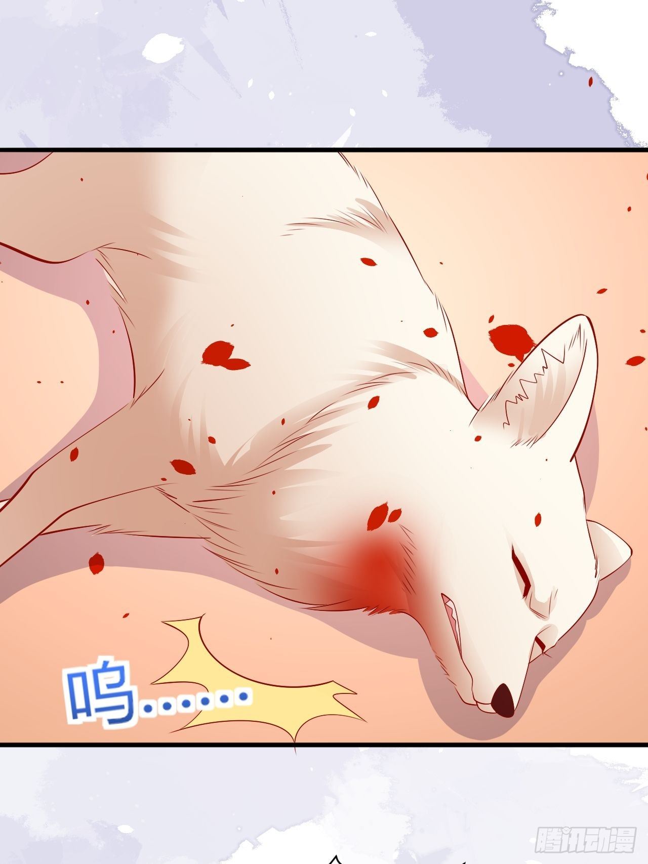 34 狐狼之争41