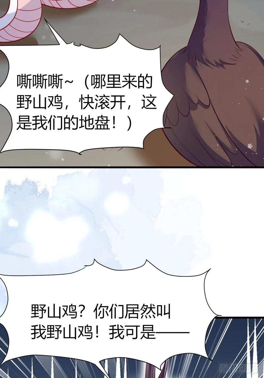 41 凤凰涅槃31