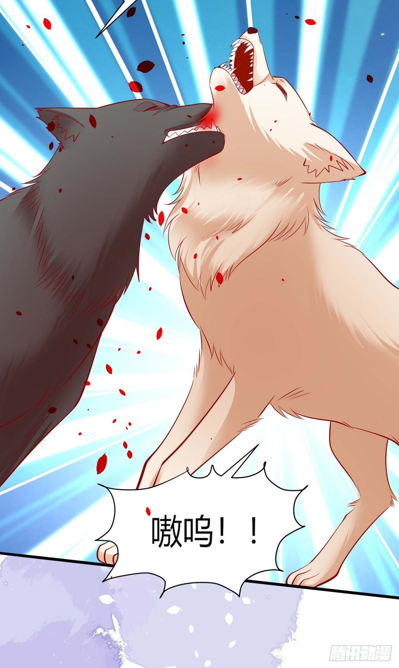 34 狐狼之争38