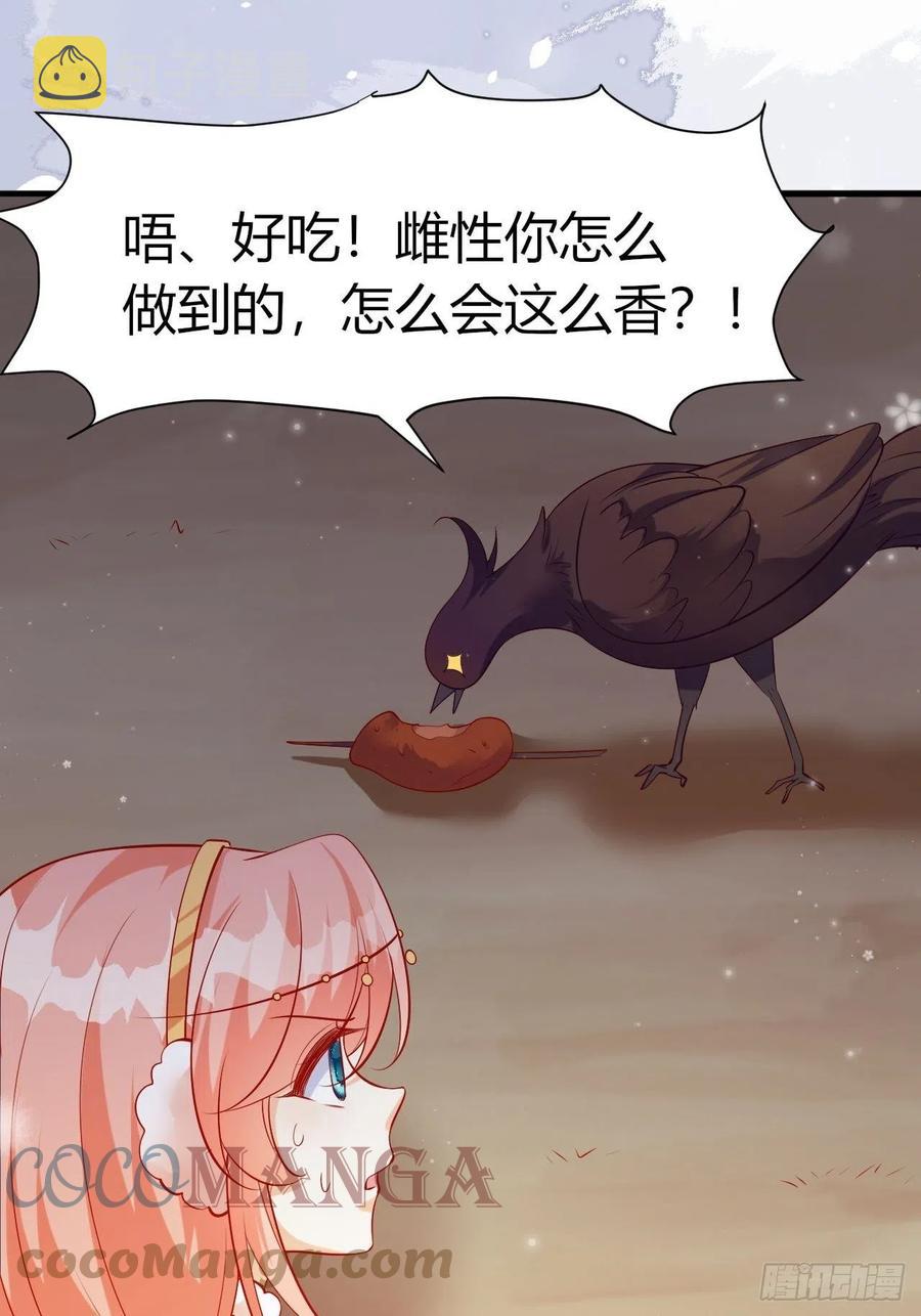 41 凤凰涅槃24