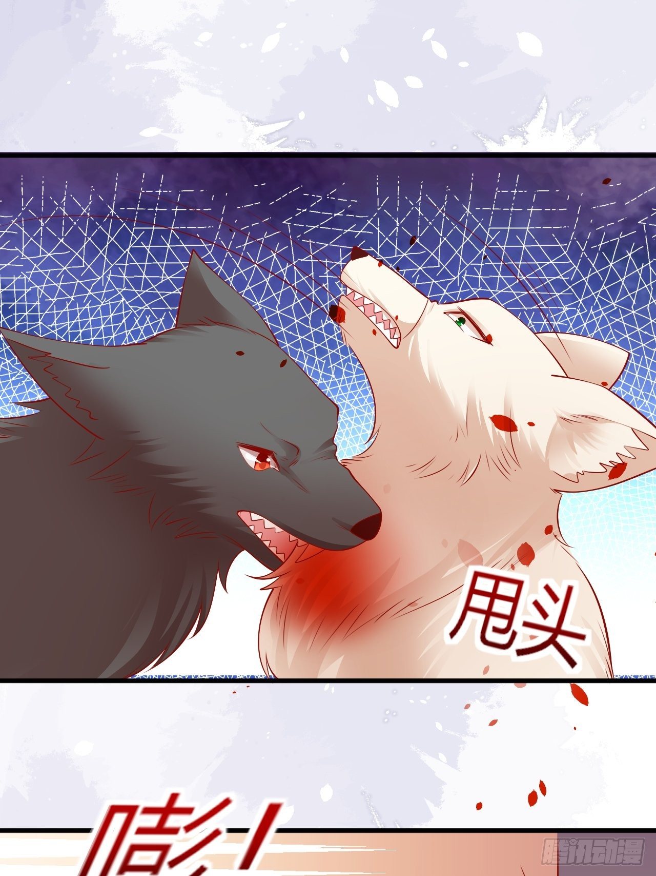 34 狐狼之争39