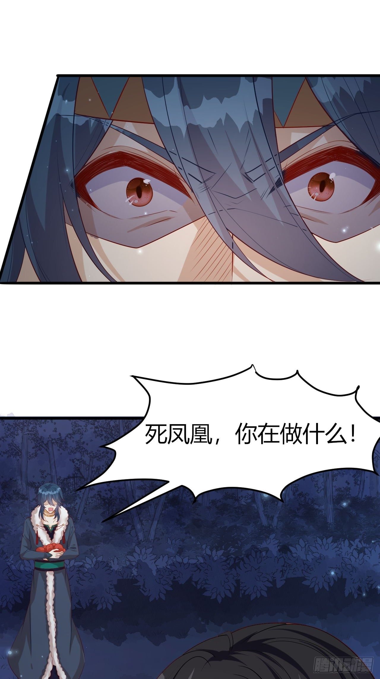 42 凤凰与蛇13