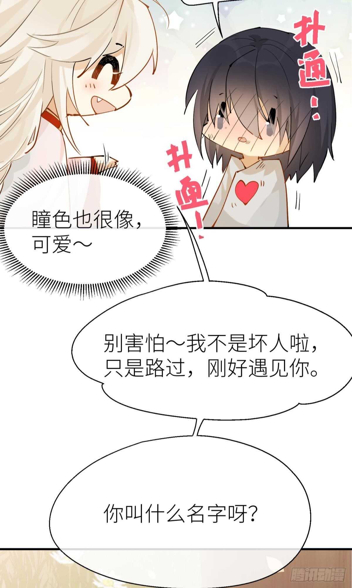 不留退路41