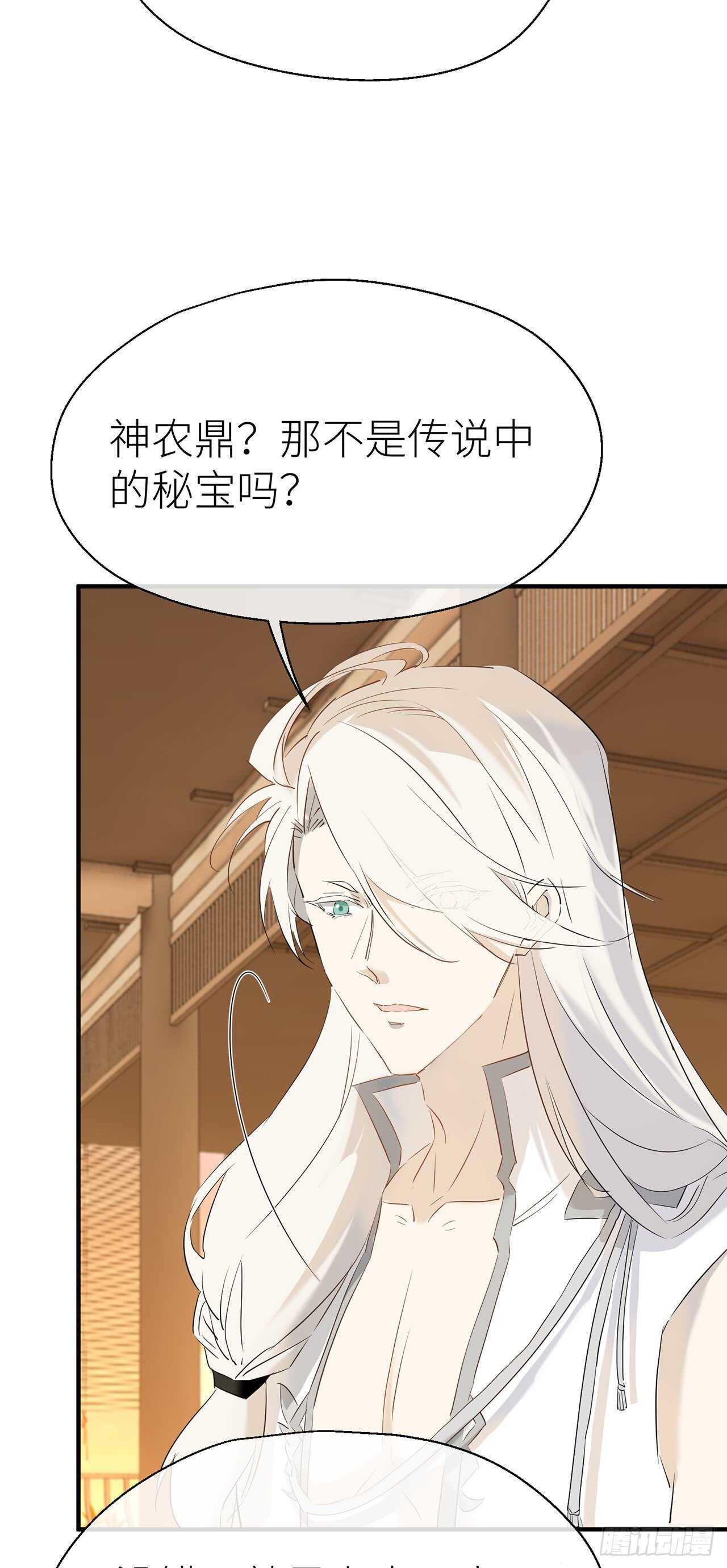 神农鼎8