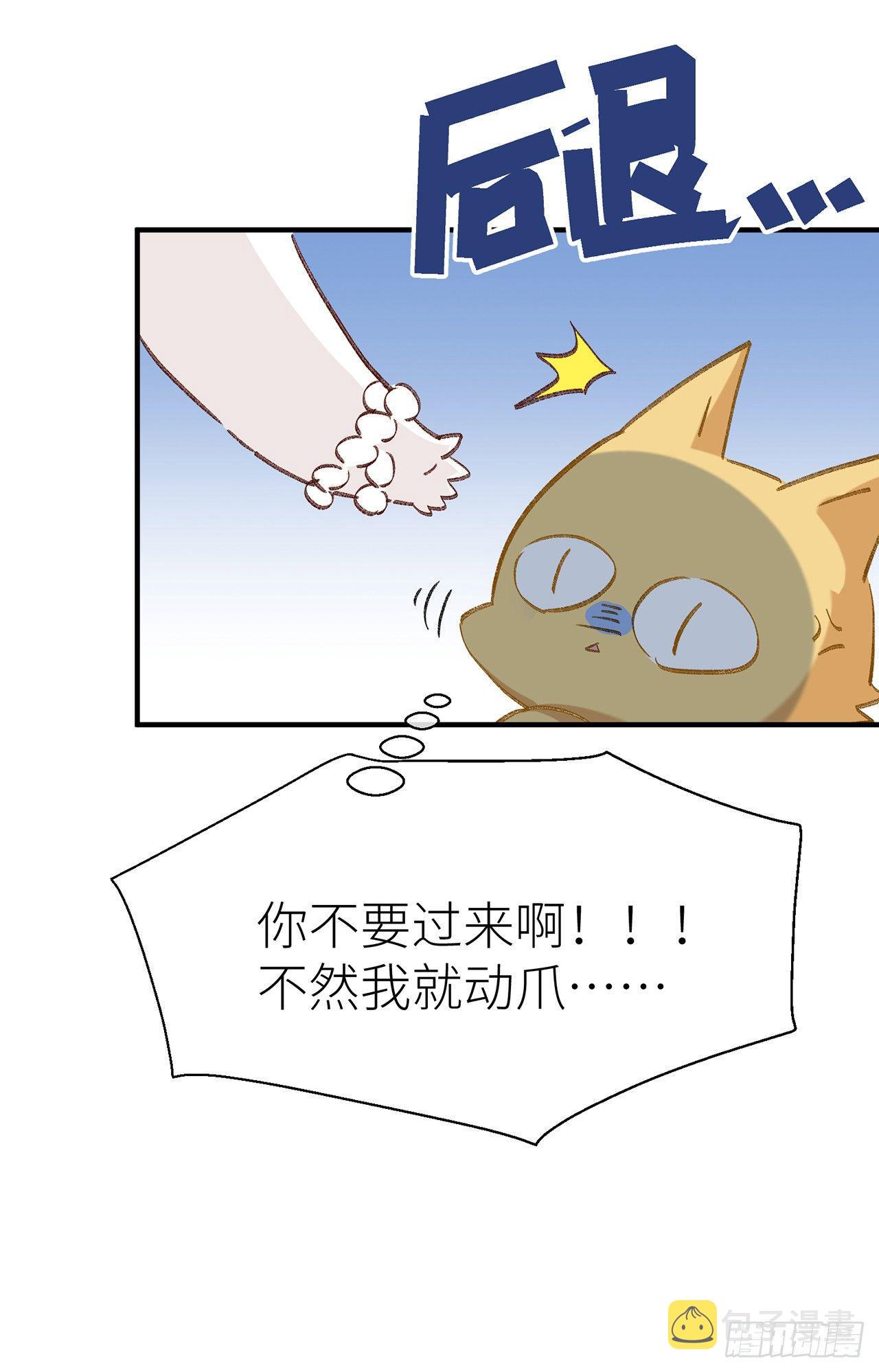 520特别篇13