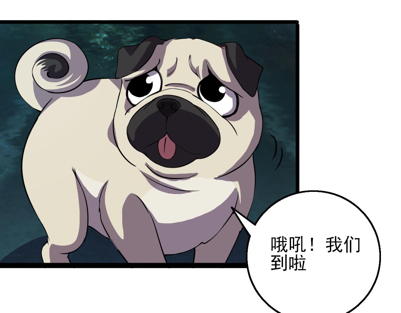 第80话 冤家路窄37