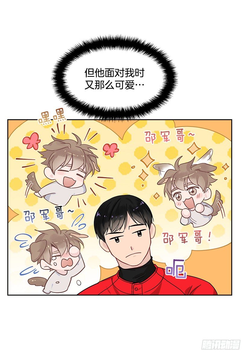 13.小鹿乱撞14