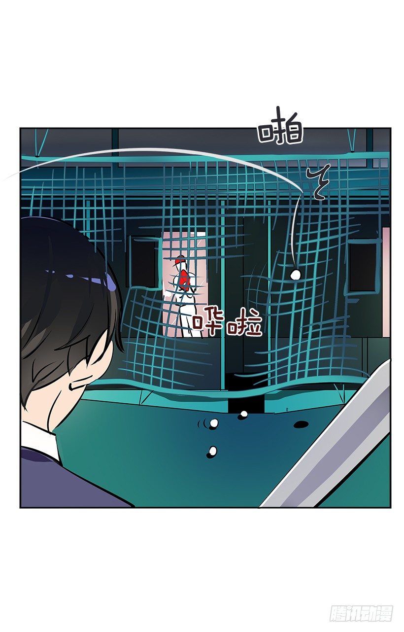 10.相册8