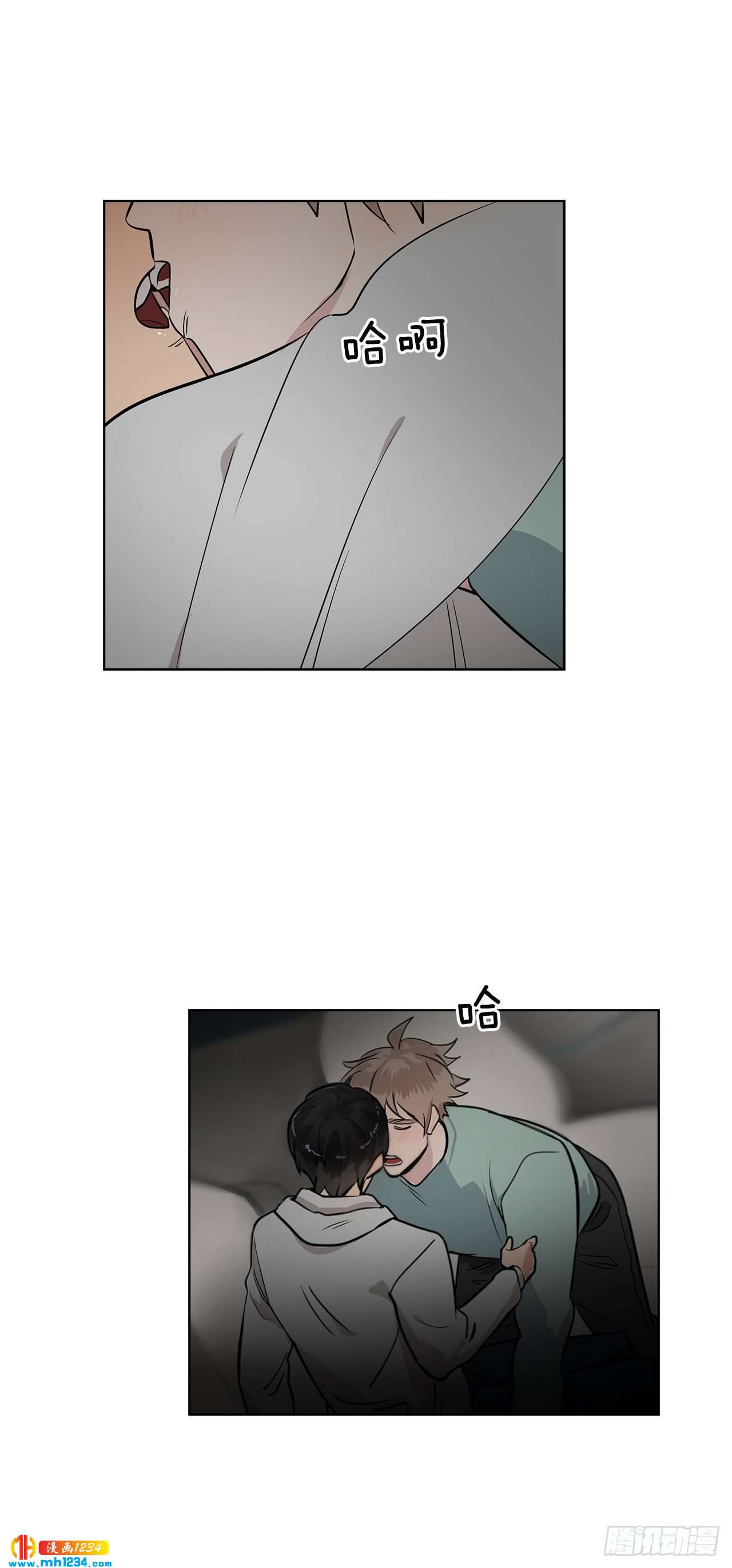 41.危机24
