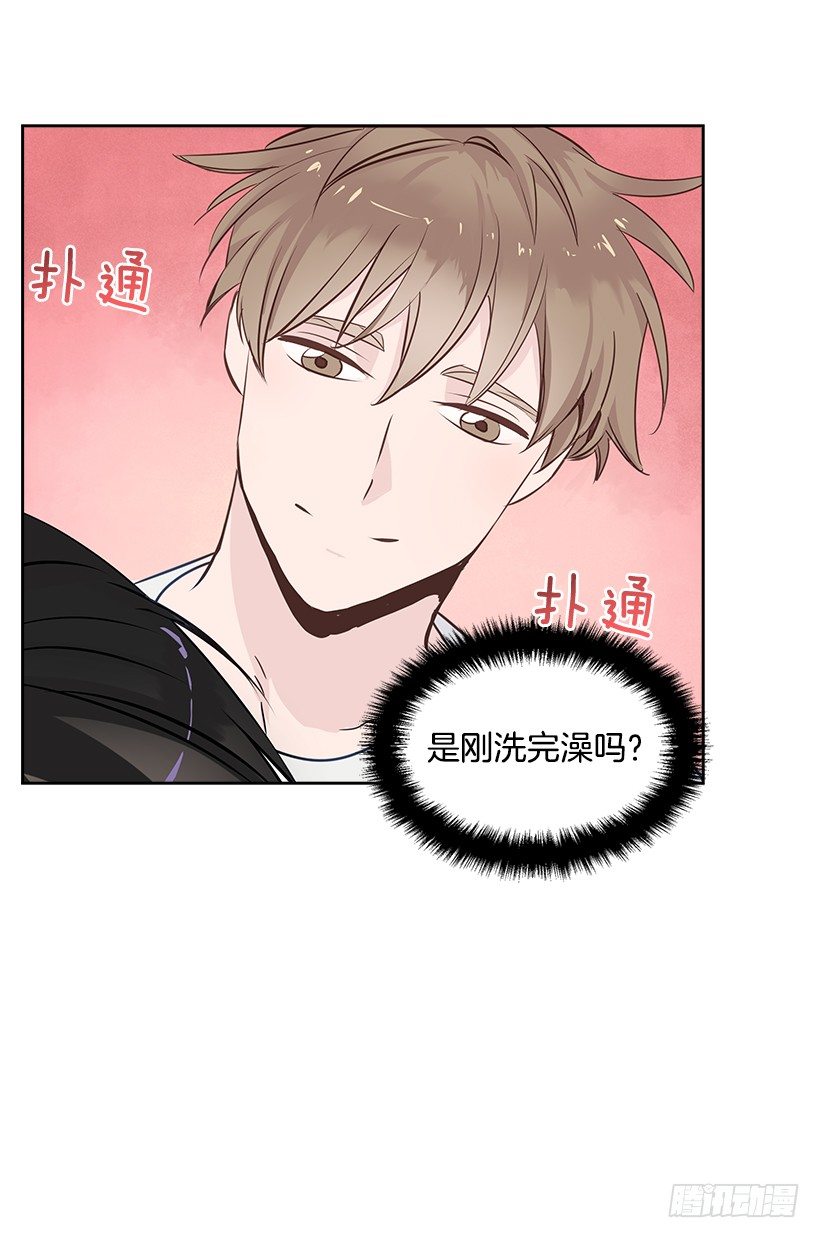 13.小鹿乱撞4