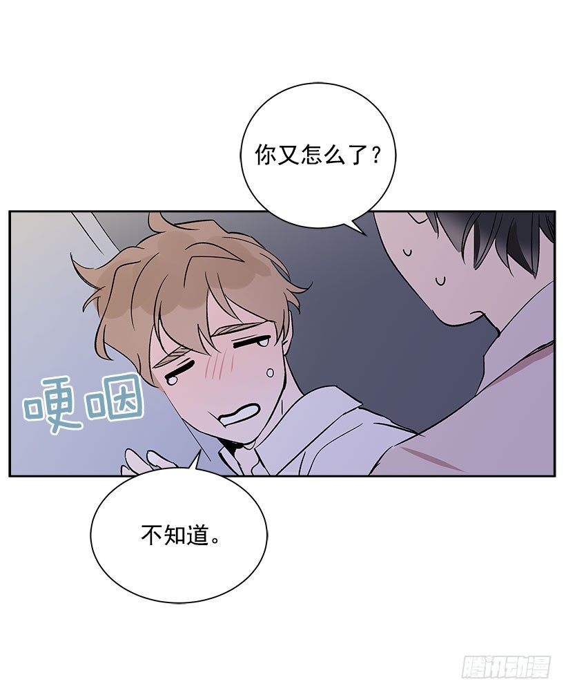 5.意外发现52
