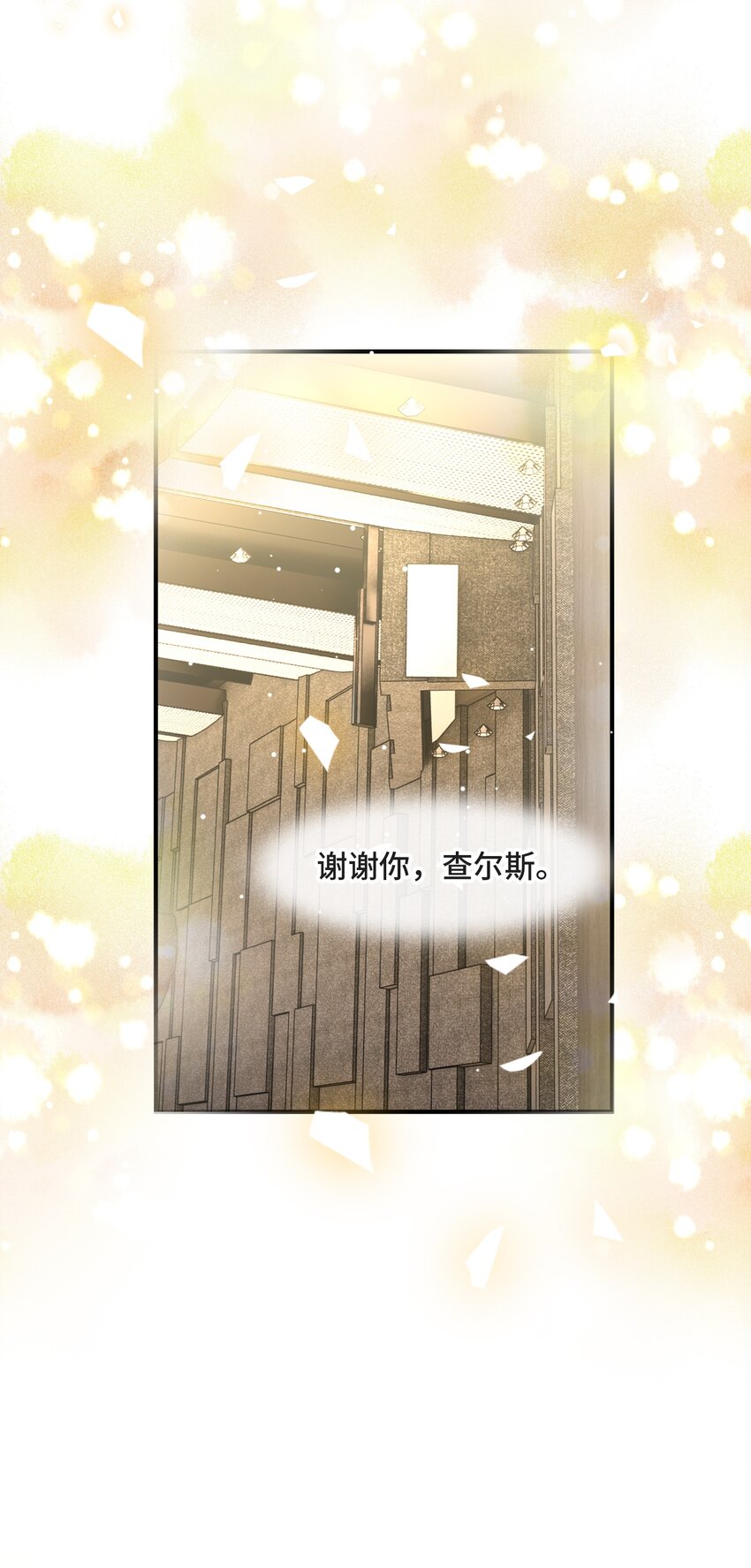 078 再见，查尔斯45