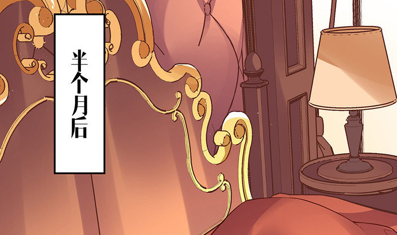 第216话 他们还没有离婚 315