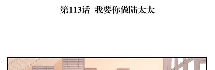 第113话 我要你做陆太太4