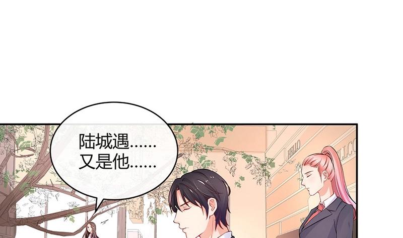 第113话 我要你做陆太太6