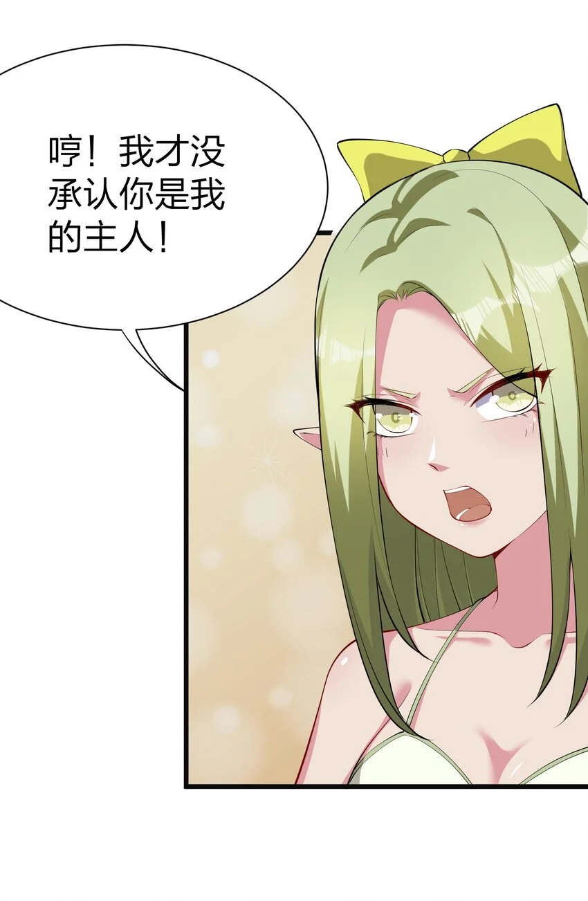 044 树龟19
