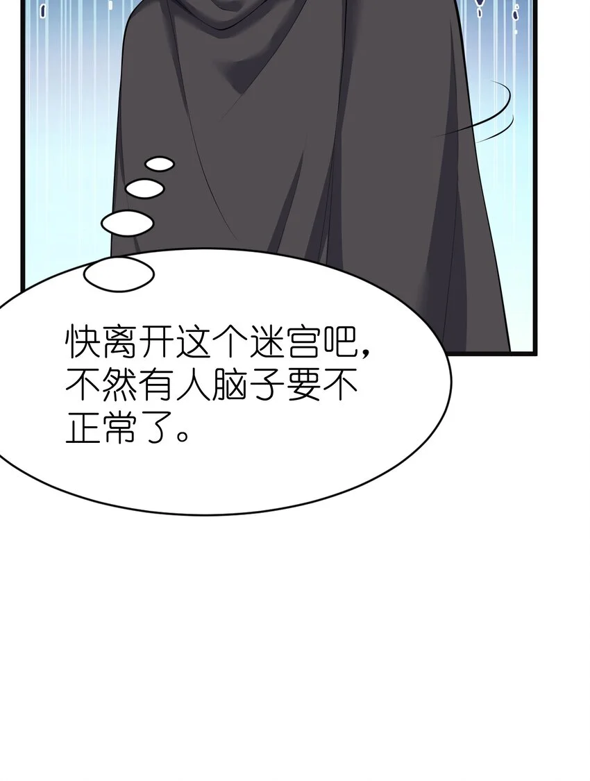 044 树龟45