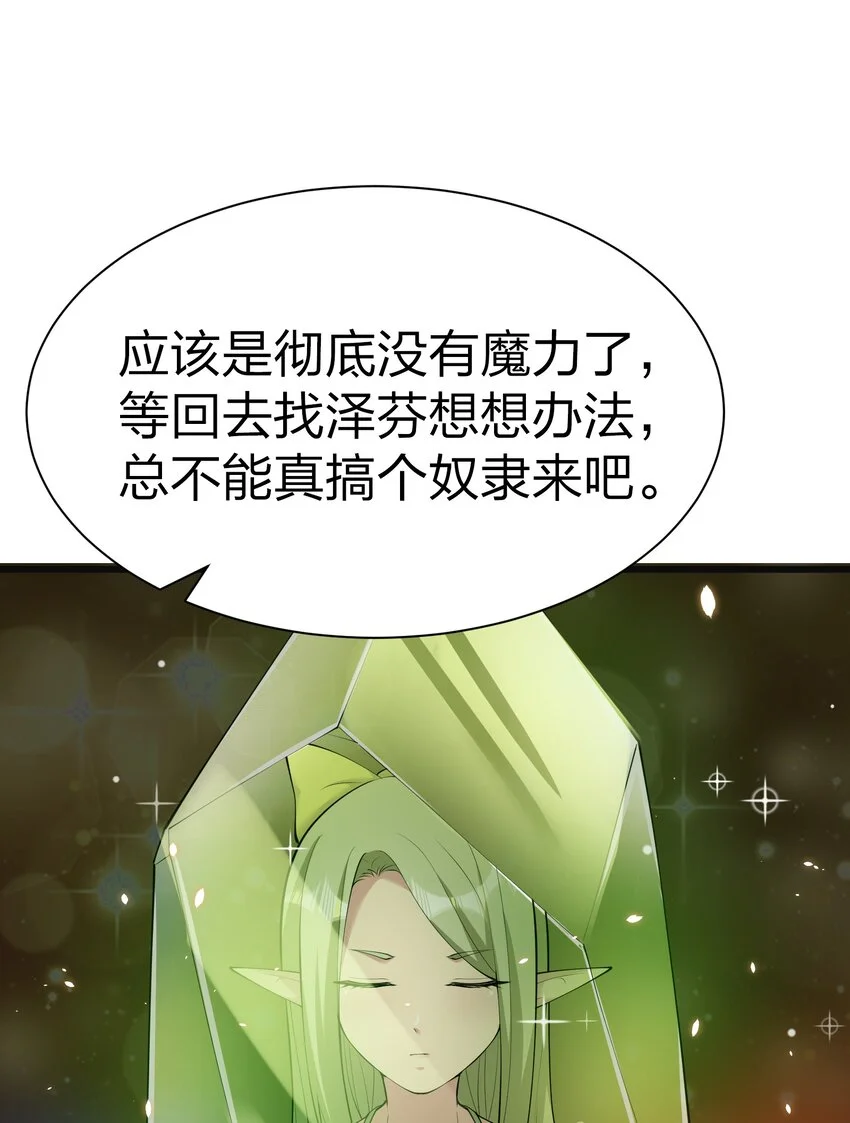 044 树龟57