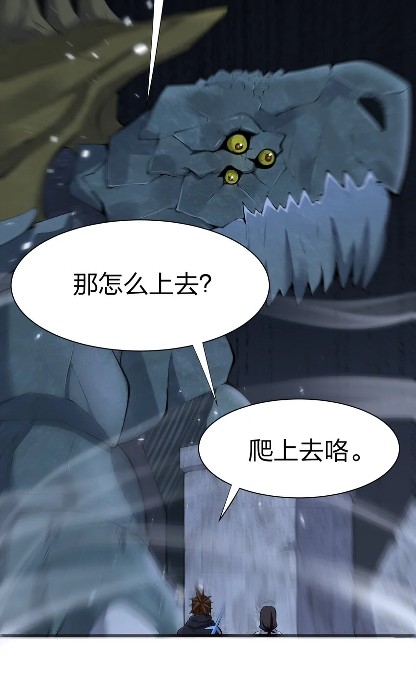 044 树龟50