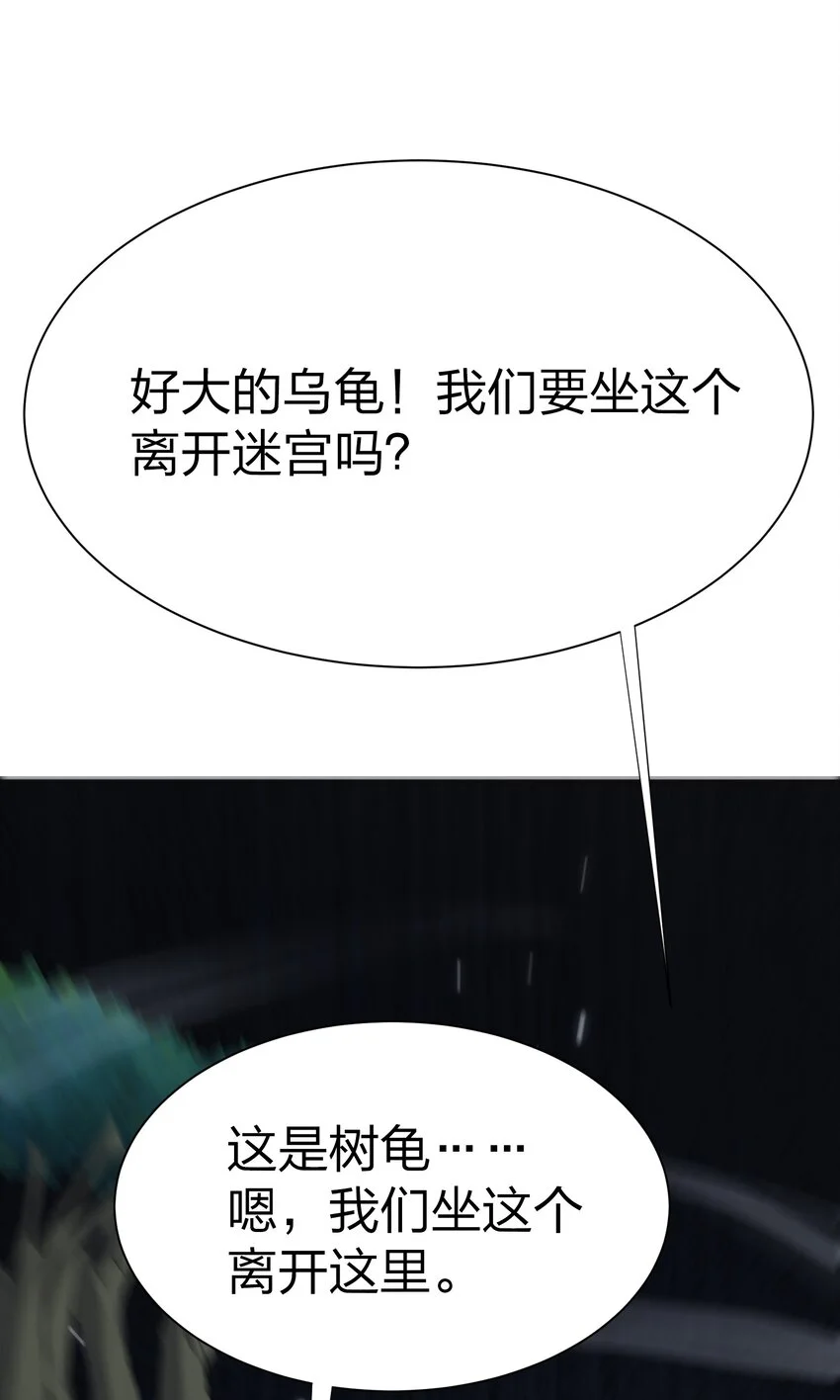 044 树龟49