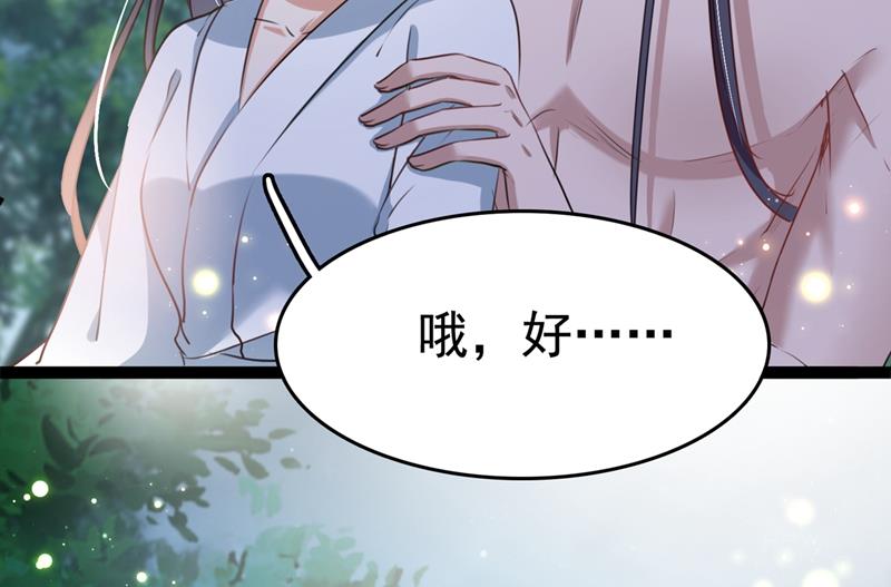 国师的秘密法宝30